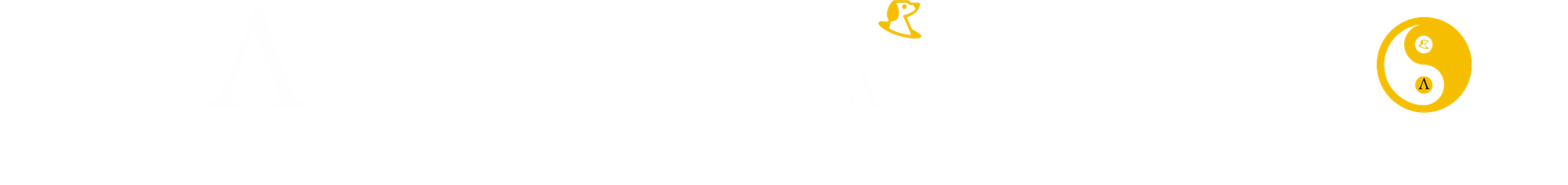 Elastic Money Blog