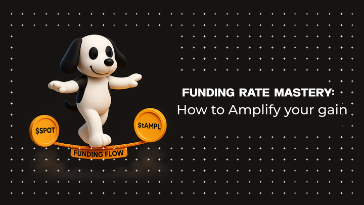 Funding Rate Mastery: How to Amplify your gains